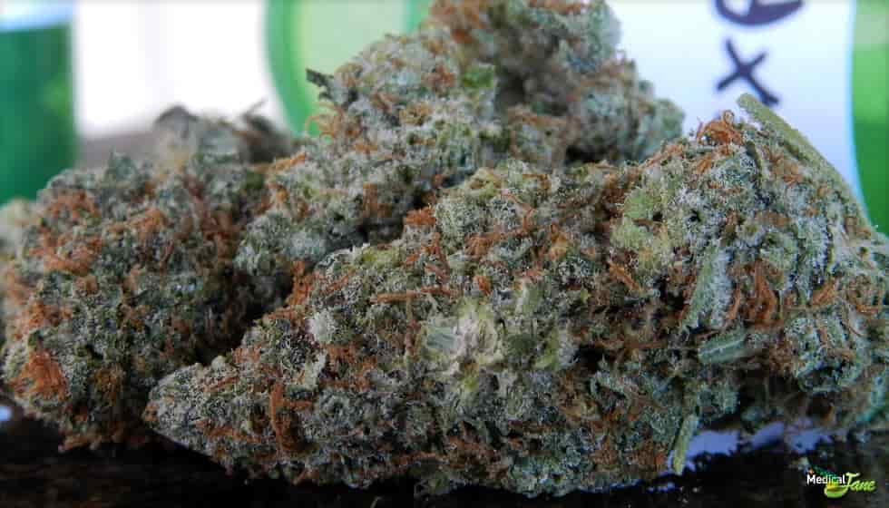 Pineapple Express Weed