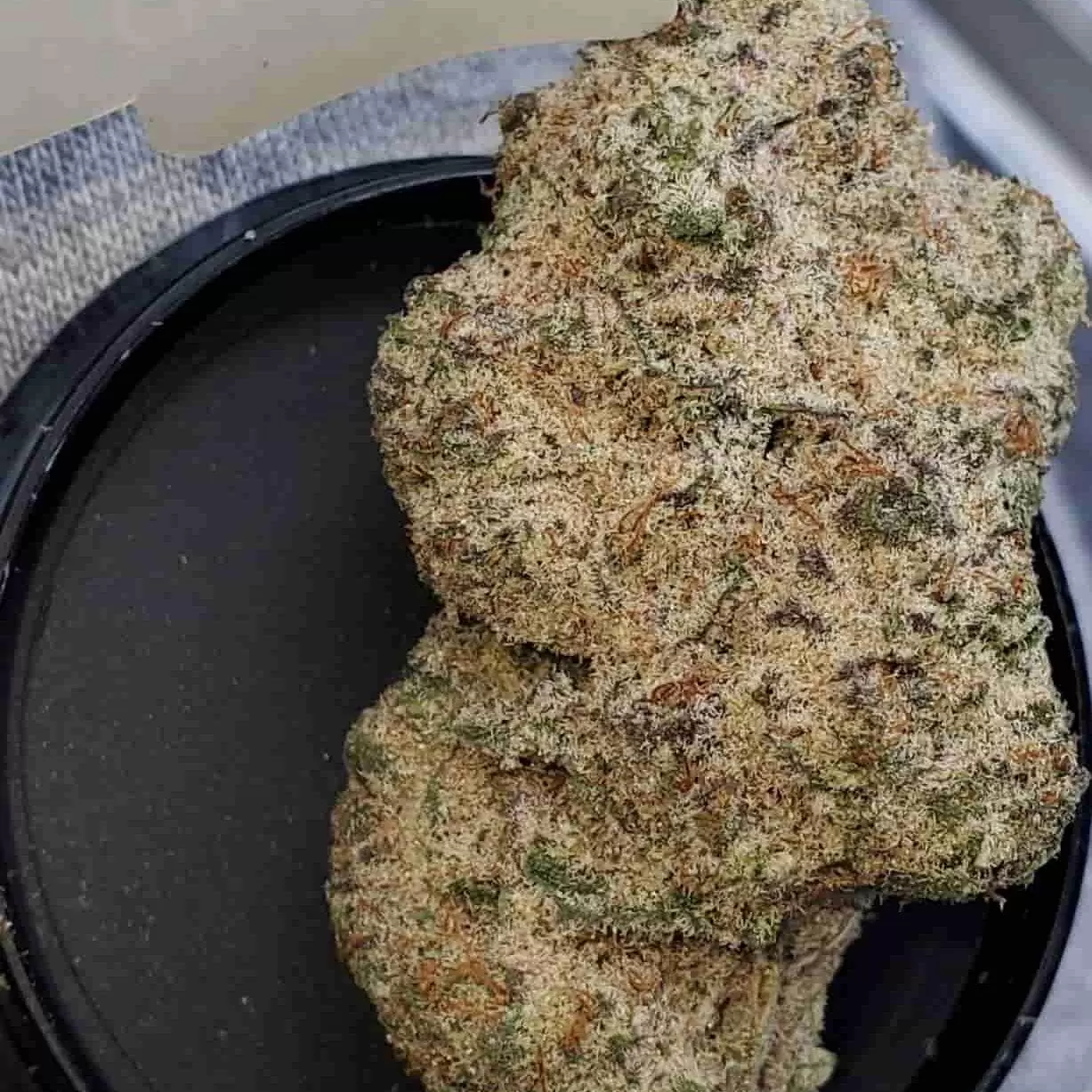Wedding Gelato Weed strain Wedding Gelato Weed