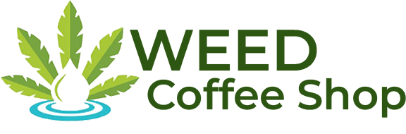 Weed Coffeeshop Europe