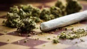 marihuana kannabis