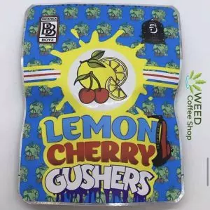 Lemon Cherry Grushers Backpackboyz