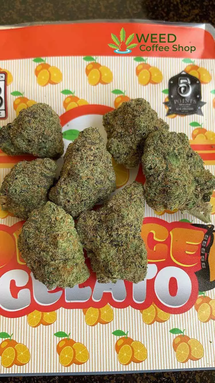 Orange Gelato Backpackboyz