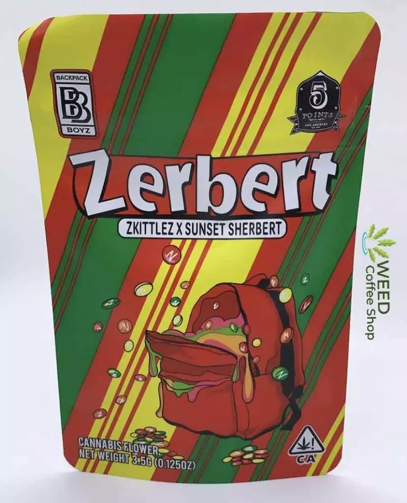 backpackboyz zerbert