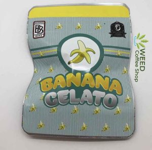 Banana Gelato Backpackboyz