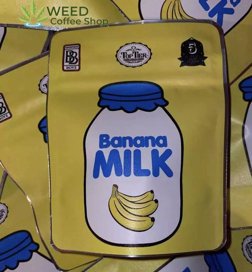 banana milk strain backpackboyz