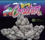 Hippy Crasher Jungleboys