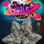 Space Center Jungleboys