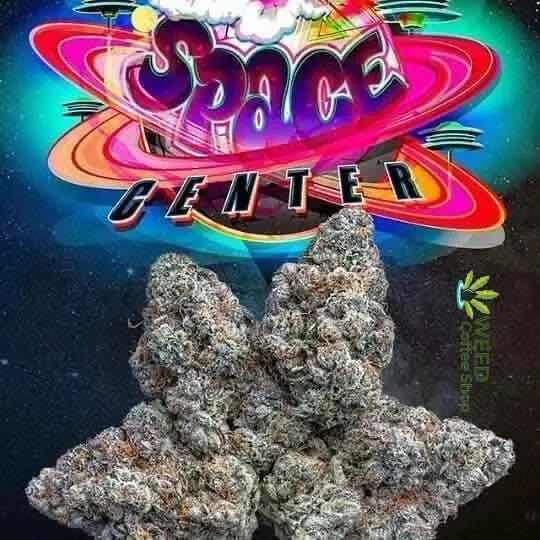 Space Center Jungleboys
