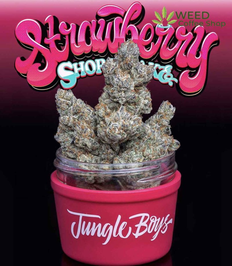 Strawberry Shortcake Jungleboys