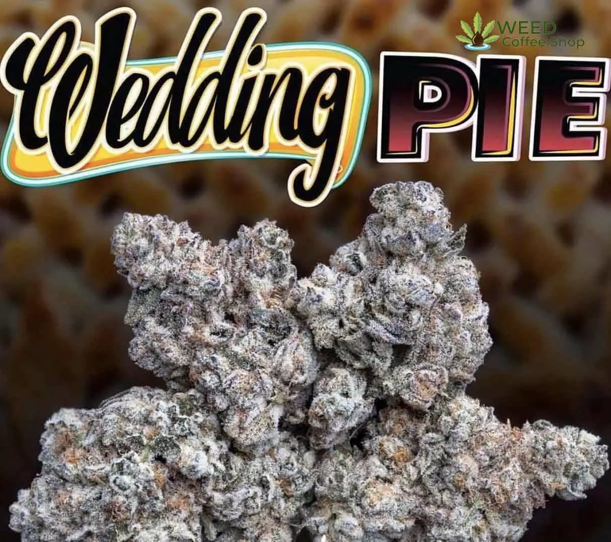 Wedding Pie Jungleboys