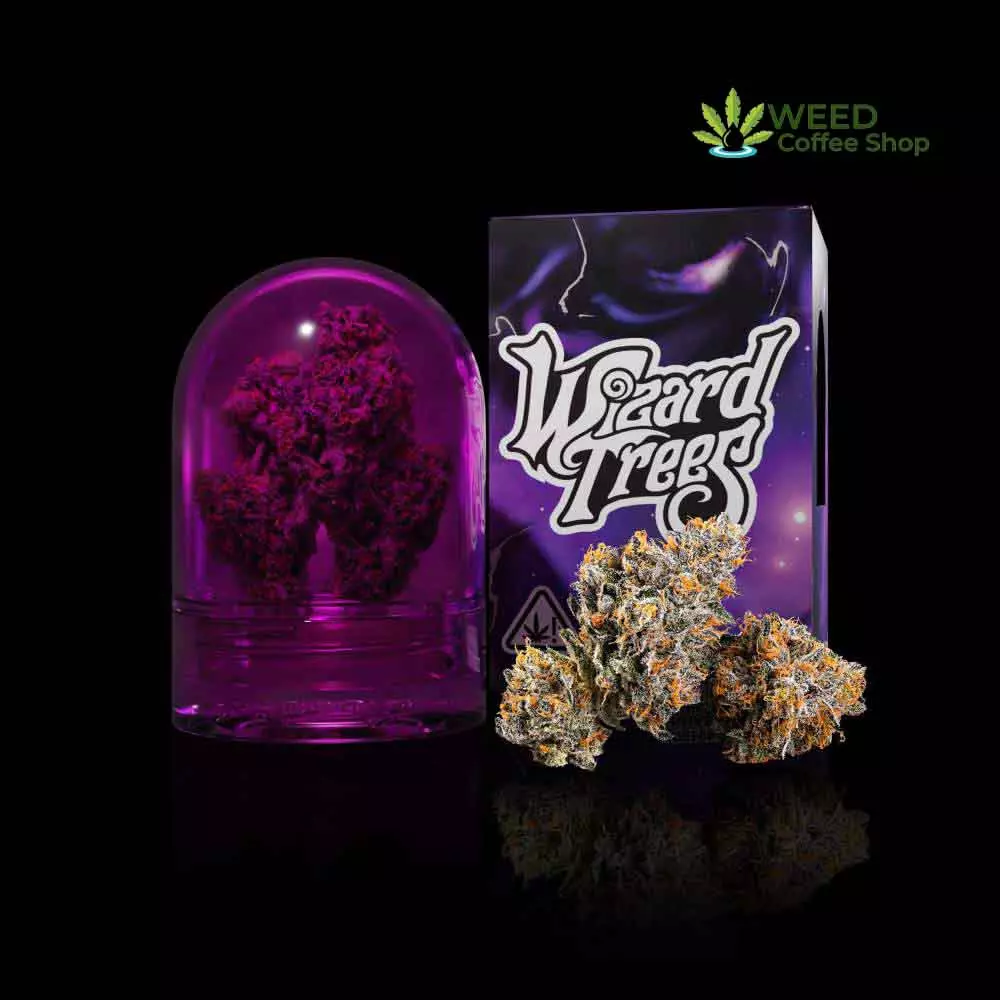 Rainbow Runtz Wizard Trees