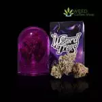 tea time strain wizard trees